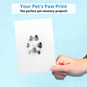 ☑️Paw Print Stamp Pad-Buy 2 get 1 free (3PCS)