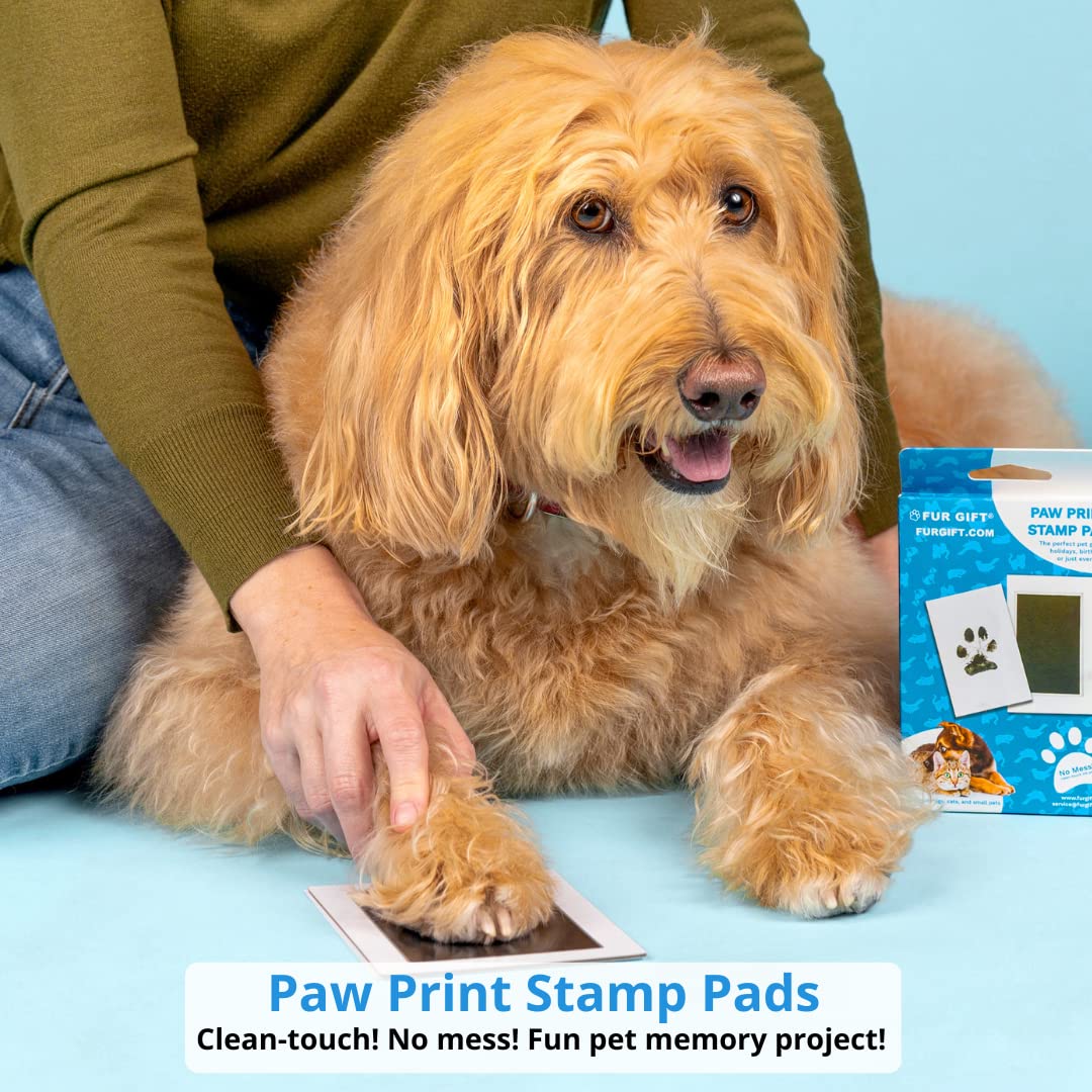 ☑️Paw Print Stamp Pad-Buy 2 get 1 free (3PCS)