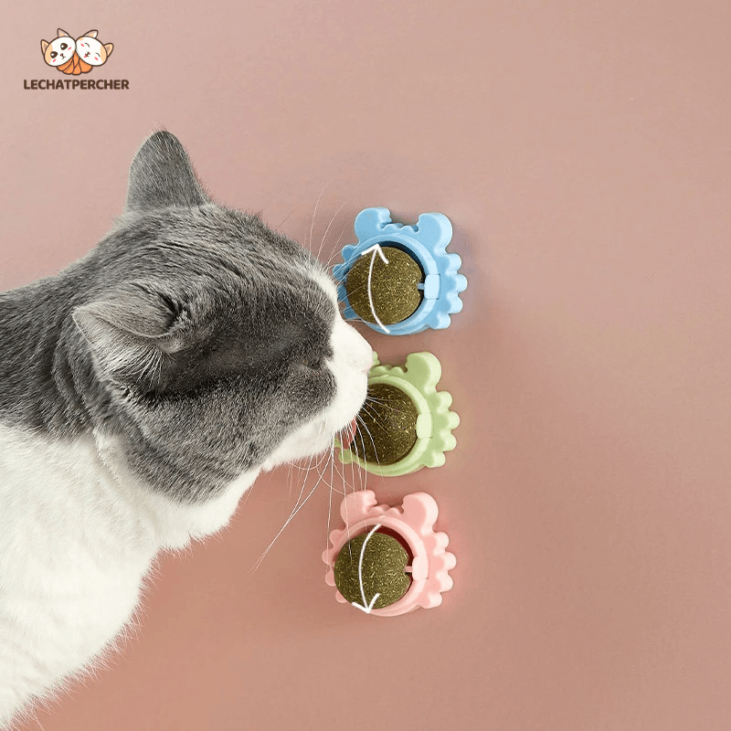 (🎁2024 New Year Hot Sale🎁)CATNIP WALL BALL(Buy More Save More)