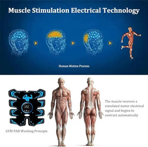 Jenylu EMS Muscle Stimulator. Abs Trainer Abdominal Muscle Toner Electronic Workout Home Fitness Device. Effective Abdominals Toning Belt Arm/Hip Trainer with USB Rechargeable