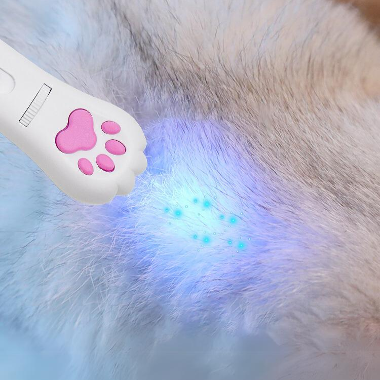 Laser Light Toys For Cat Kittens