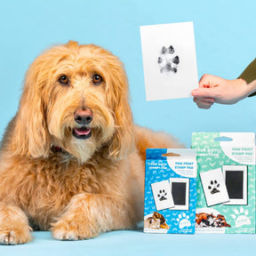 ☑️Paw Print Stamp Pad-Buy 2 get 1 free (3PCS)