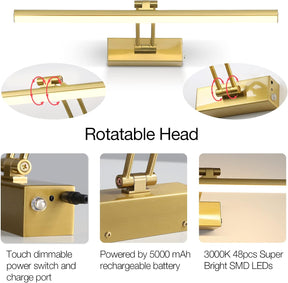 FUNCHDAY Wireless Picture Light.5000mAh Battery Operated Picture Light with Remote. Art Light with Timer.16 Full Metal Picture Frame Light for Paintings. Gallery.Wall (Brass)