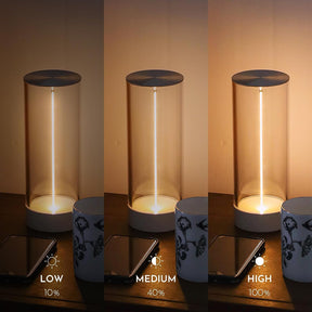 Flexible Filament Lamp