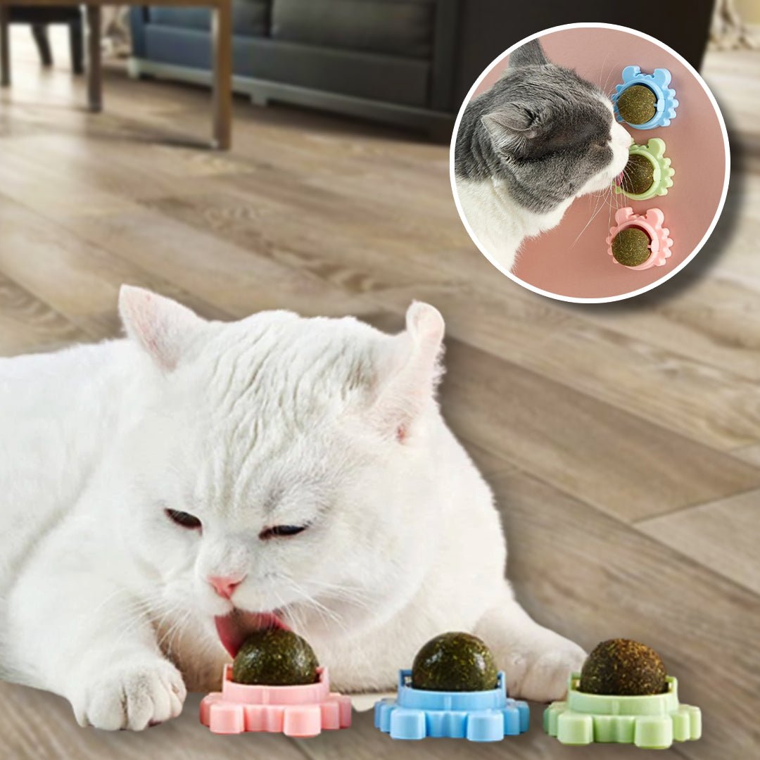 (🎁2024 New Year Hot Sale🎁)CATNIP WALL BALL(Buy More Save More)