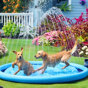 Summer Pets Cool-Down Splash Pad