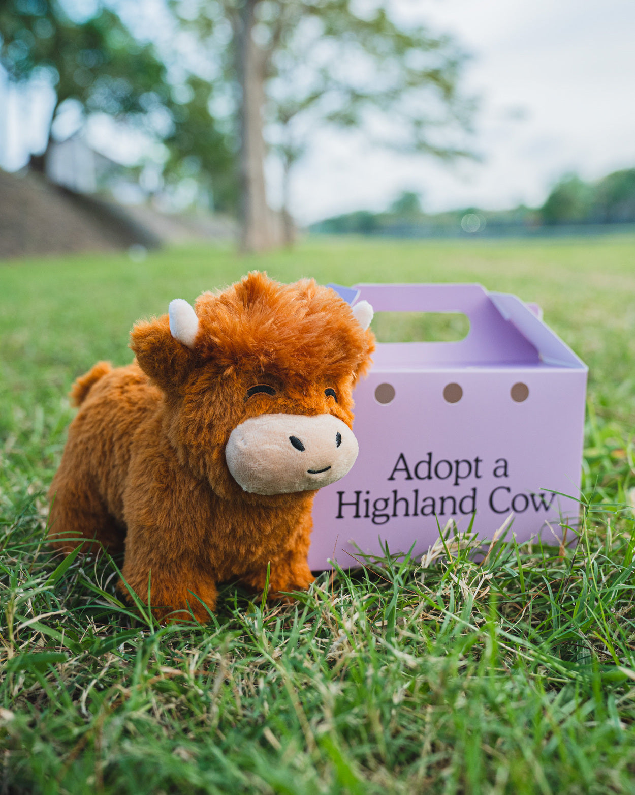 Highland Cow Plushie