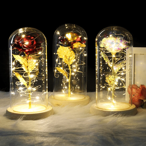 Rose Love™ Rose Flower LED Light Preserved Roses In Glass