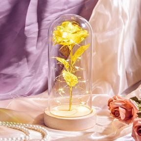 Rose Love™ Rose Flower LED Light Preserved Roses In Glass