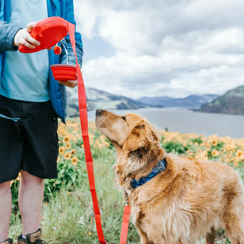 Doggo Safari Charms™ - 5 in 1 Dog Leash