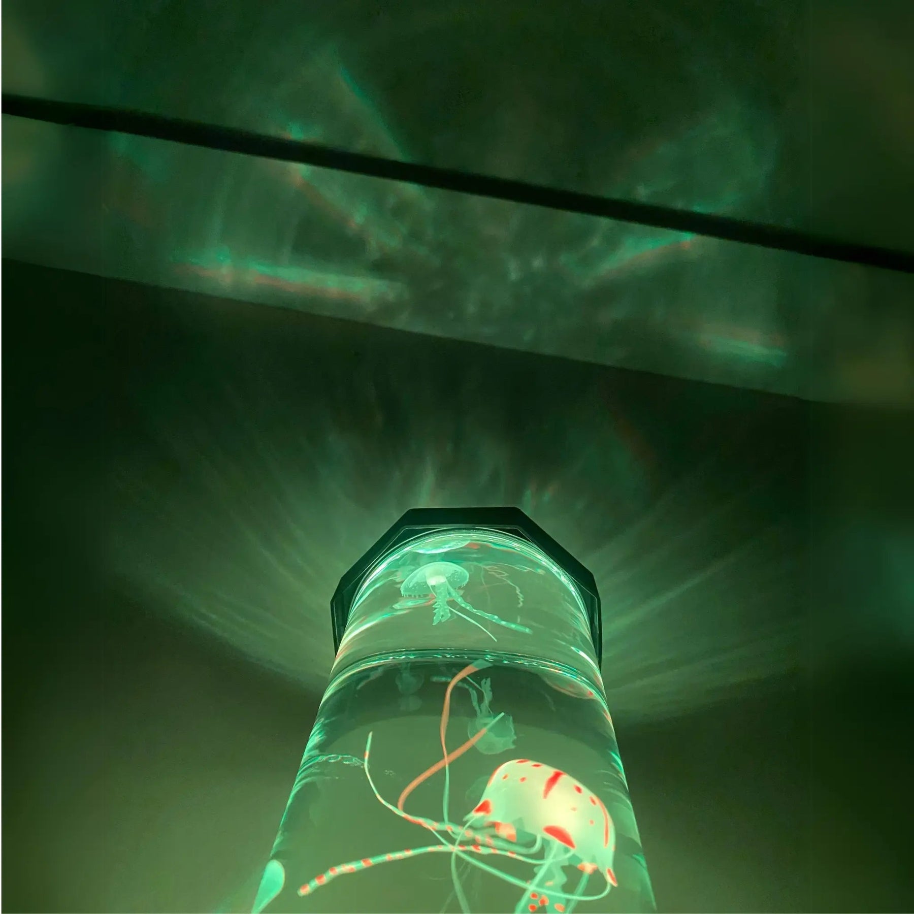 JellyAura Ocean Dream Lamp