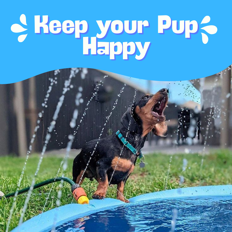 Summer Pets Cool-Down Splash Pad