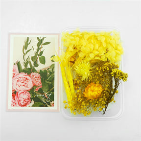 1 Box Dried flowers For Party Festival Decoration Epoxy Resin Real Dry Plant Making Photo Frame Souvenirs Craft DIY Accessories