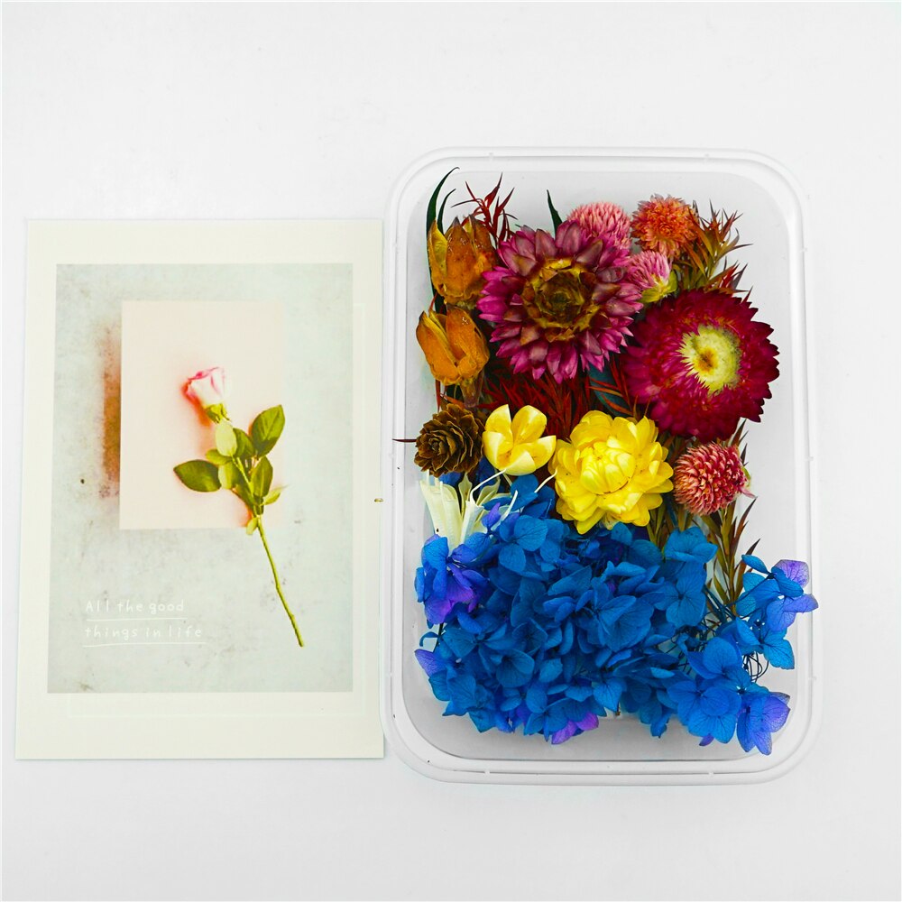 1 Box Dried flowers For Party Festival Decoration Epoxy Resin Real Dry Plant Making Photo Frame Souvenirs Craft DIY Accessories