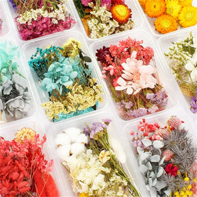 1 Box Dried flowers For Party Festival Decoration Epoxy Resin Real Dry Plant Making Photo Frame Souvenirs Craft DIY Accessories