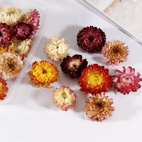 1 Box Dried flowers For Party Festival Decoration Epoxy Resin Real Dry Plant Making Photo Frame Souvenirs Craft DIY Accessories