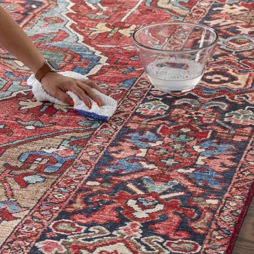 Manche Traditional Bright Red/Navy/Wheat/Ice Blue/Grass Green/Ivory Area Rug