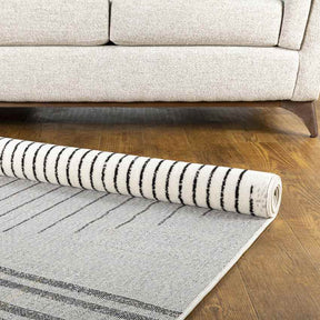 Neerbosch Modern Light Gray Area Rug