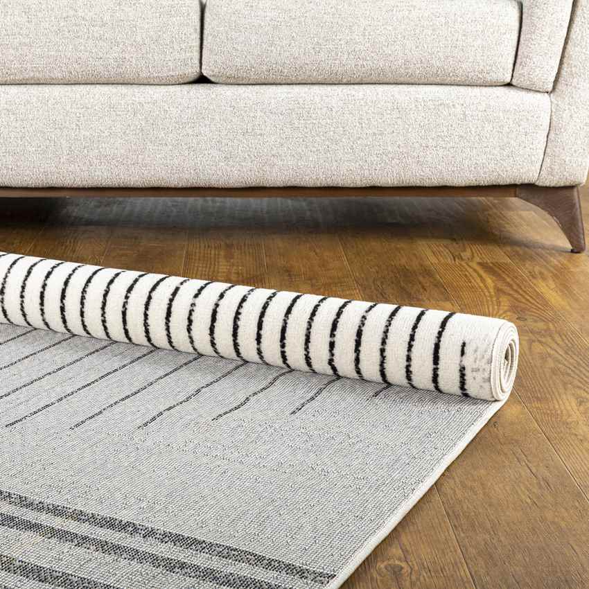 Neerbosch Modern Light Gray Area Rug