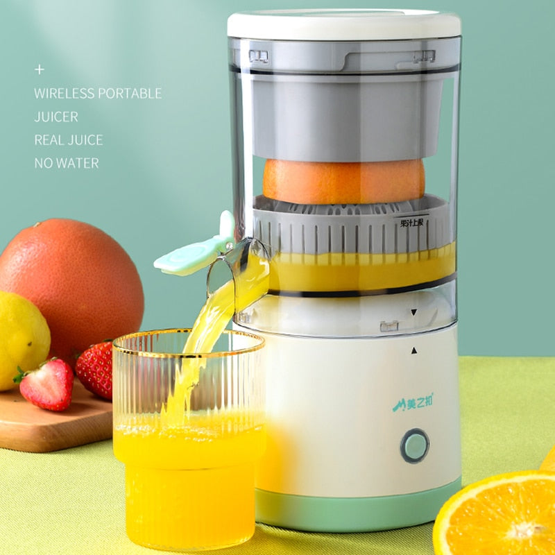 Portable Juicer