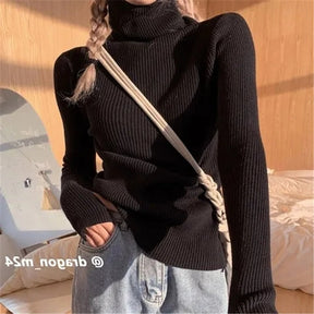 Women heaps collar Turtleneck Sweaters Autumn Winter Slim Pullover Women Basic Tops Casual Soft Knit Sweater Soft Warm Jumper